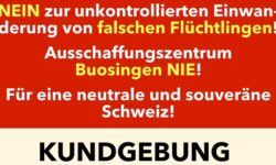 Zur Kundgebung in Schwyz am 28. September 2024 – Text aus dem Ankündigungsflyer