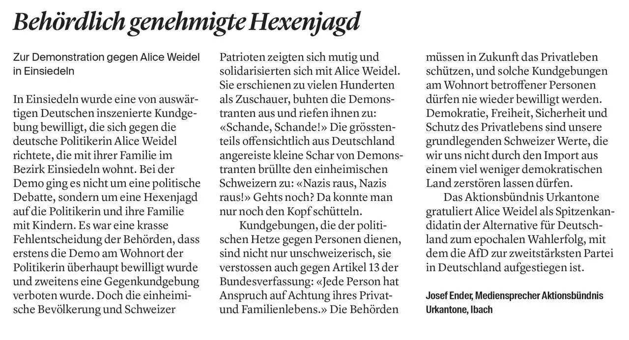 Behördlich genehmigte Hexenjagd auf Alice Weidel