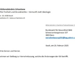 Vernehmlassung IGV