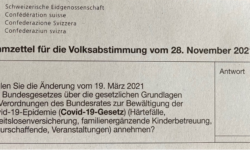 stimmzettel